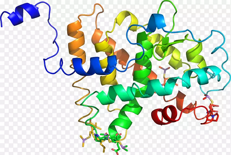 �ߵ������������-������