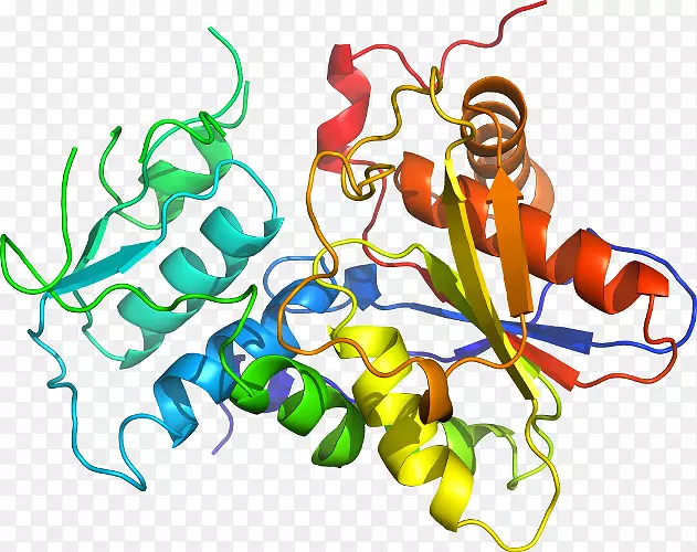 �ߵ������-��-������