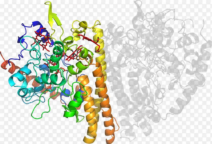 ʳ�������-л������-������