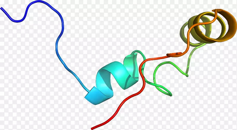 �ߵ㼼����������-������