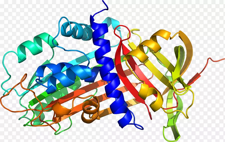 �߲��л���ϵ�м�����-�߲�-������