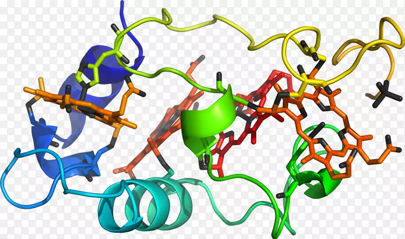 �����߶����������-������