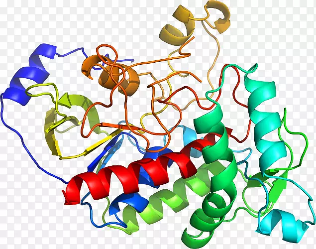 �������������鱦����������-������