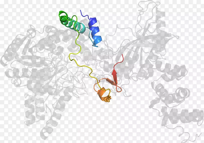 ������������-������