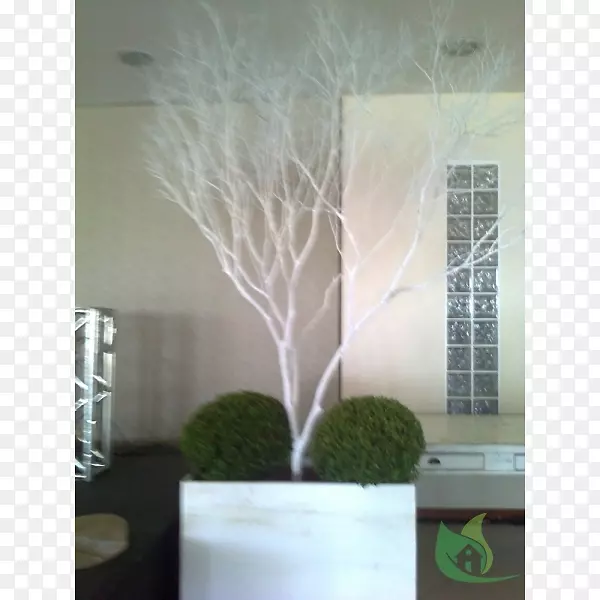 ���貣������ֲ�ﲣ��-������