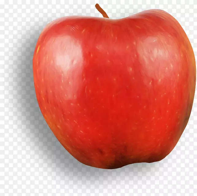 ƻ����ʳ��ƻ��-������