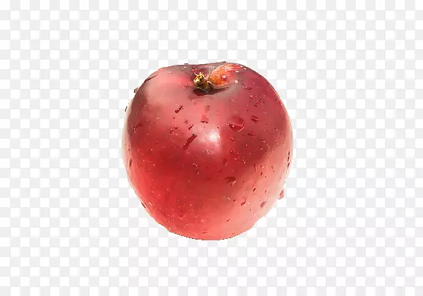 ����ʳƷƻ����ȻʳƷ����ʳƷ����ƻ��-������