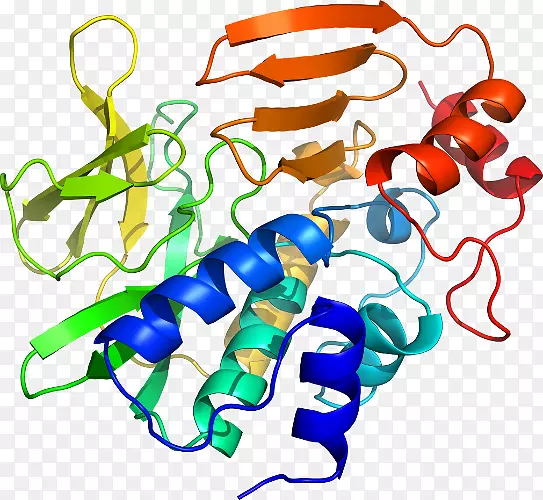 �ߵ������������-������