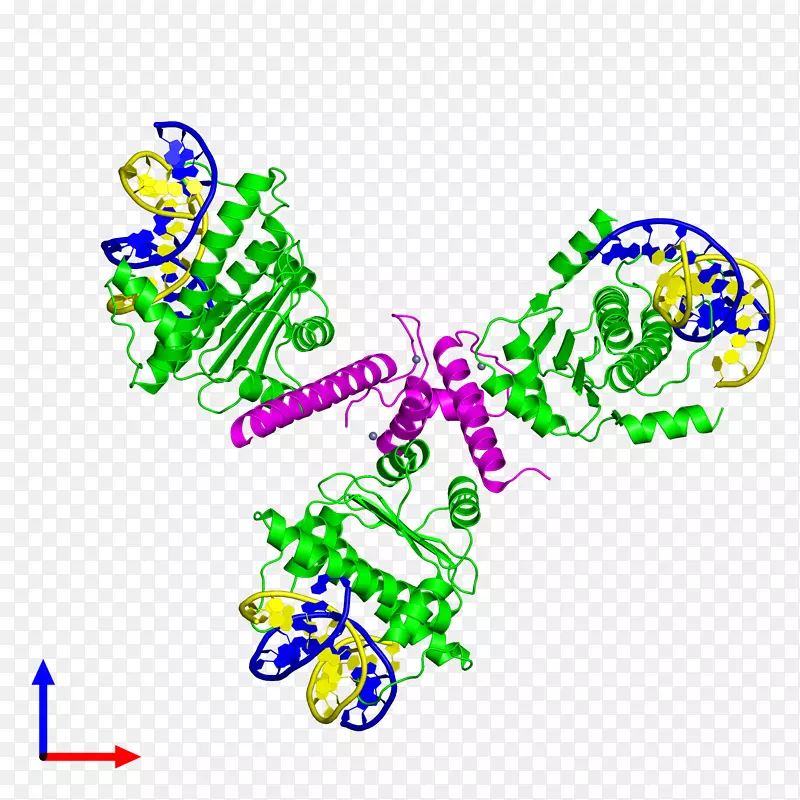 ���������鱦������-�鱦-������