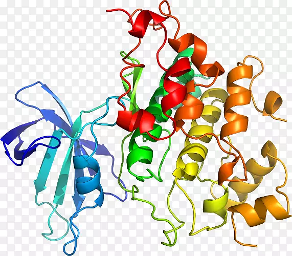 �߲��л���ϵ�м�����-�߲�-������