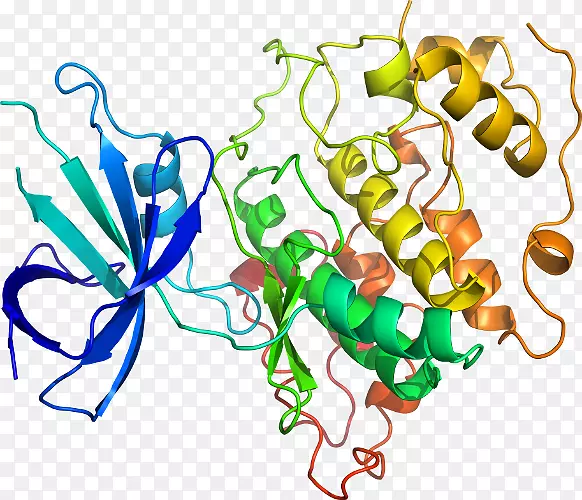 ֲ�ﾥ���鱦�޼�׵����������鱦����-������