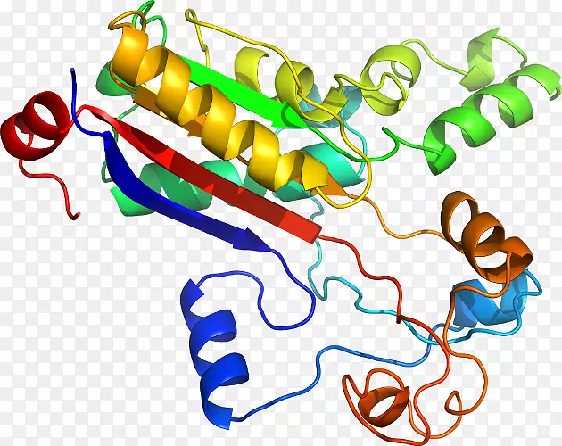 �ߵ������������-������