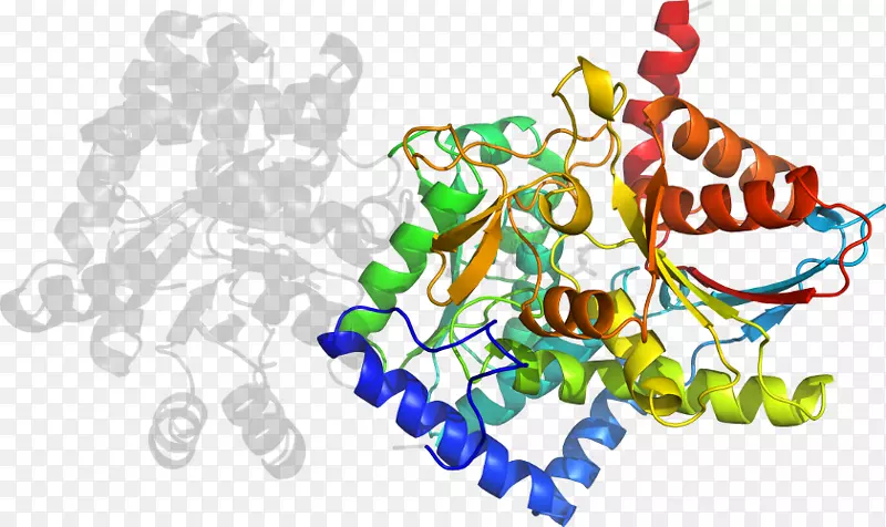 ʥ��װ��Ʒ������-ʥ����-������