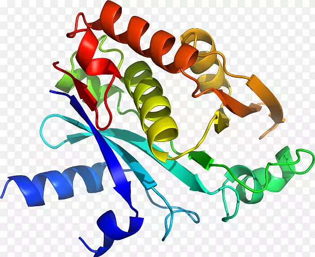 �����߶����������-������