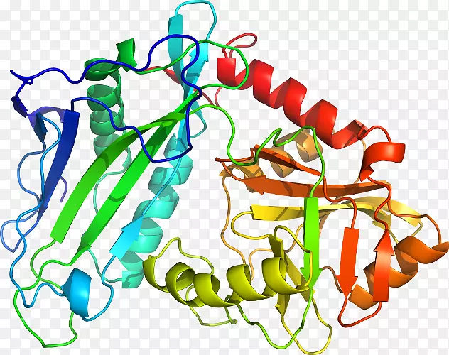 ֲ�ﾥ���鱦ϵ�м������鱦����-������