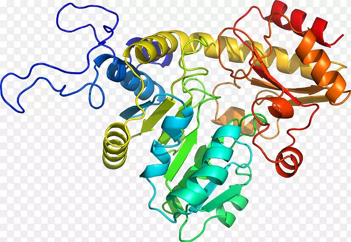 �ߵ������������-������