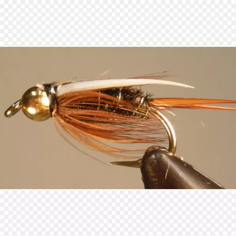 ��������������˿��-����-������