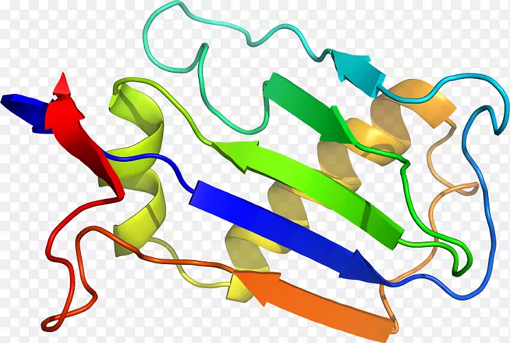 ����ƽ����Ƶ��������-������