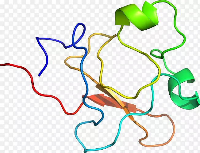 �ߵ������������-������