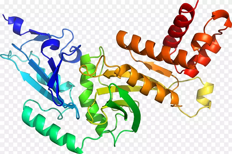 �����߶����������-������