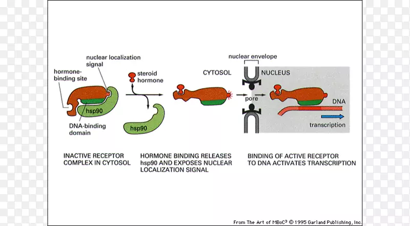 Ʒ��ͼ�����-������