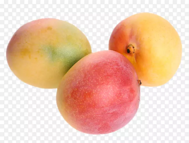 â���¸���˹ͼ��-������ɫâ����ɫֽԲ-������