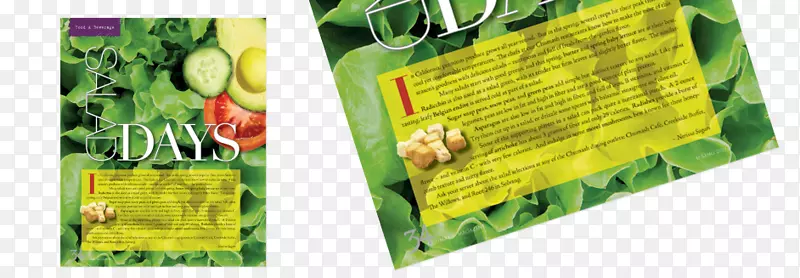 �̲�Ҷ.����ص�ԭ��-������