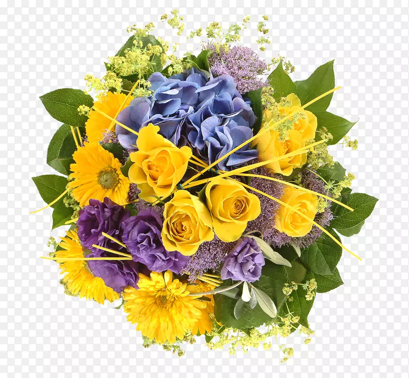 �ٺϻ�����л�����-����-������