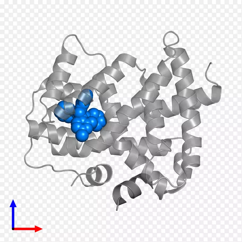 �鱦����-������