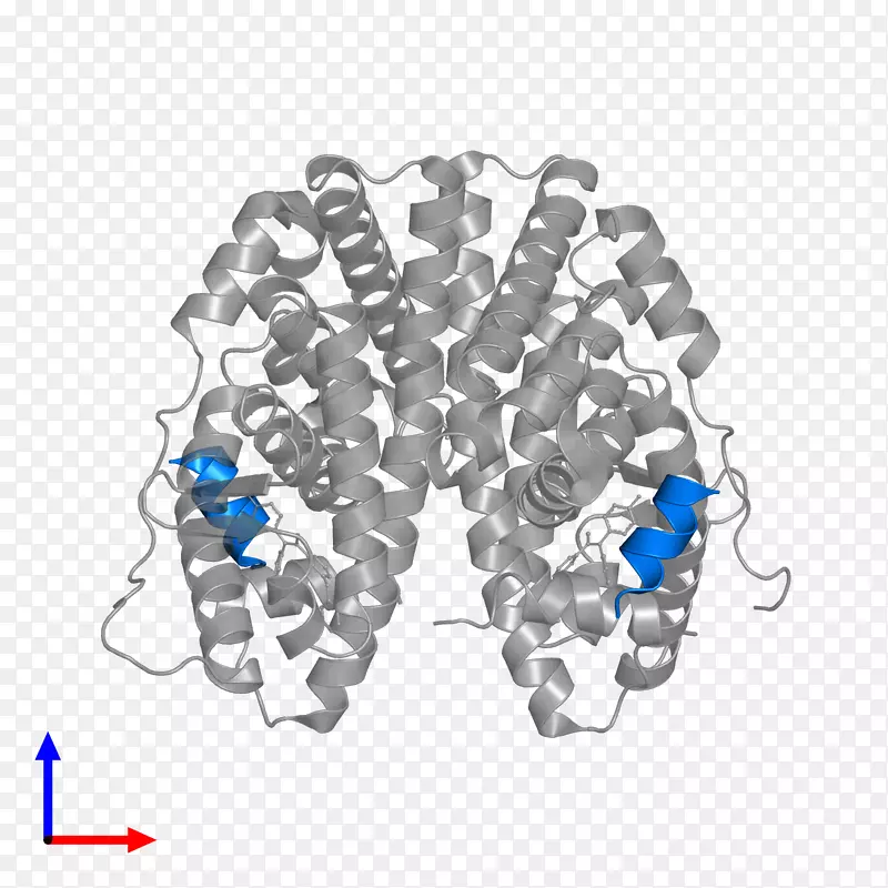 �鱦����-������