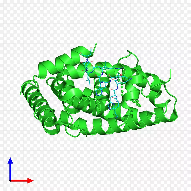 ��ɫ���-������