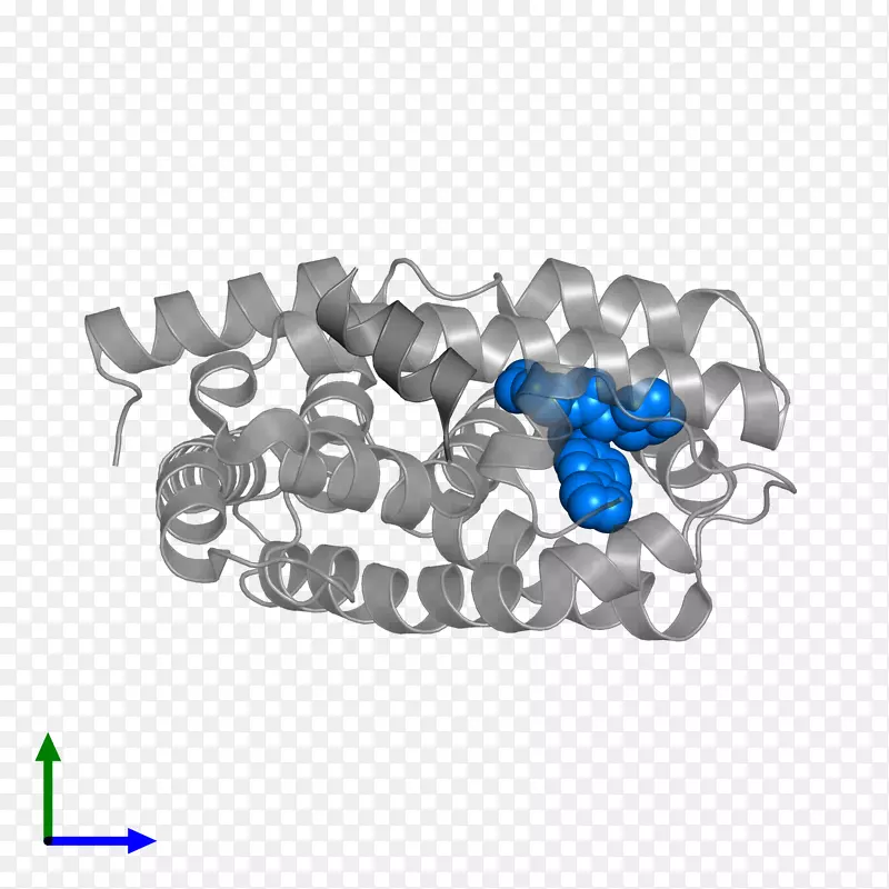 �����鱦����-������