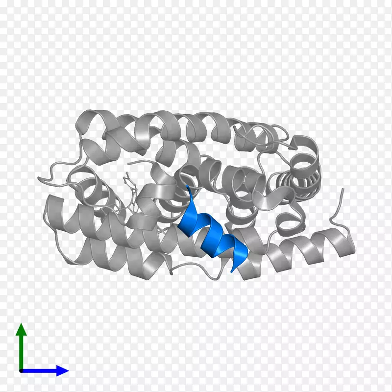 �����鱦����-������