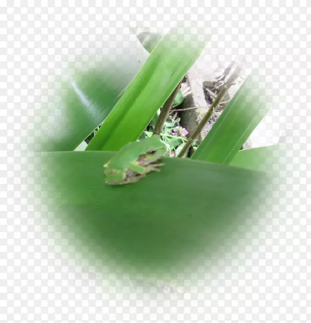 ���ˮ����д-������