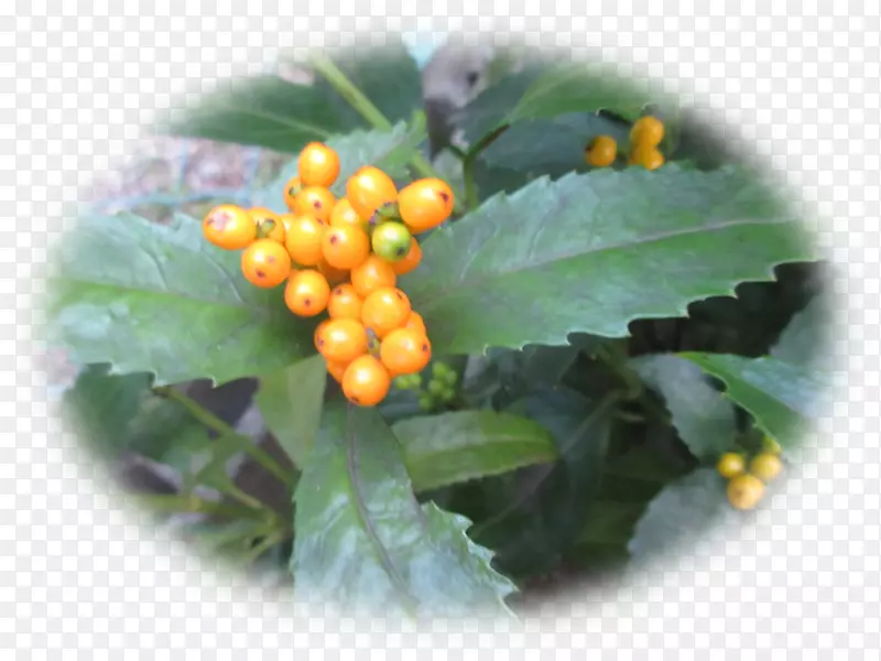 ˮ��-��ŵ-������