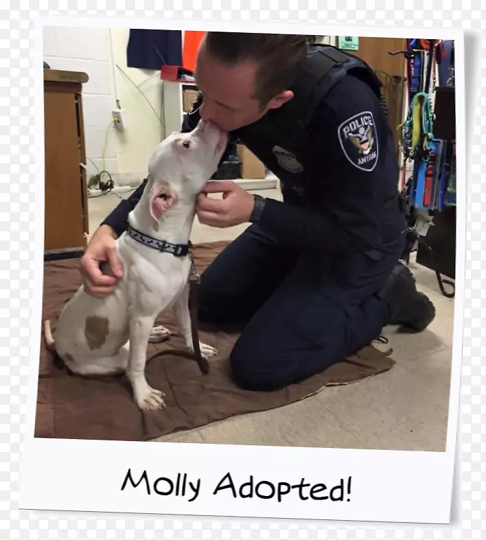 Ȯ�ֱ�Ȯ-������