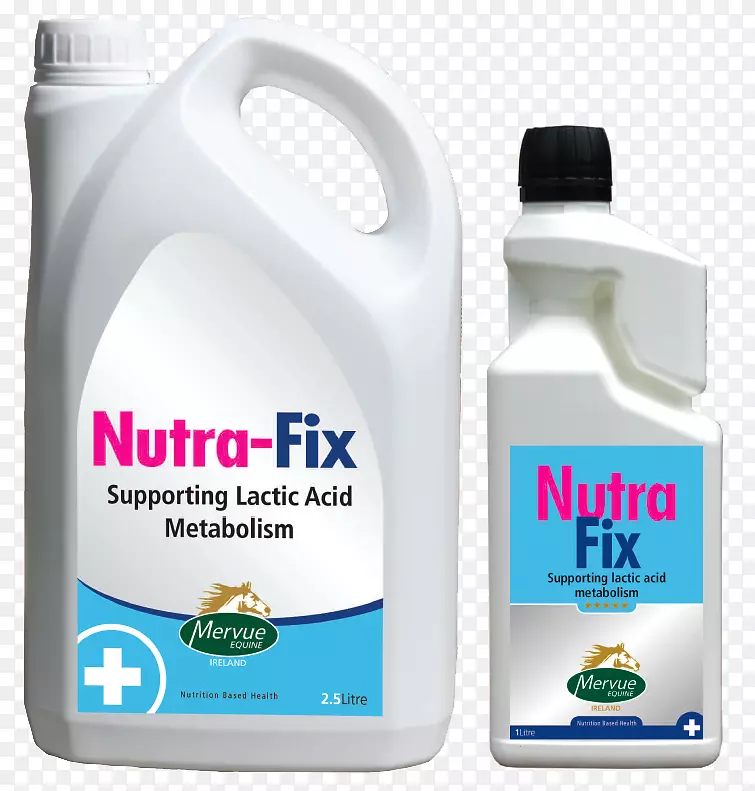 ����ʳ�������������-��-������