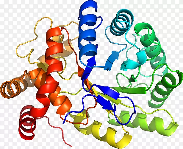 ���������鱦�л�����������鱦����-������