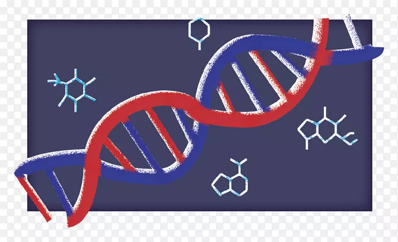 Ʒ�����-������