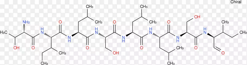 ֱ�ߵ����-������