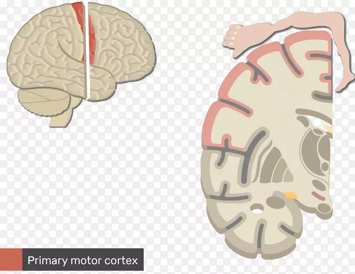 �༫��Ԫ������ϵͳ��-��-������