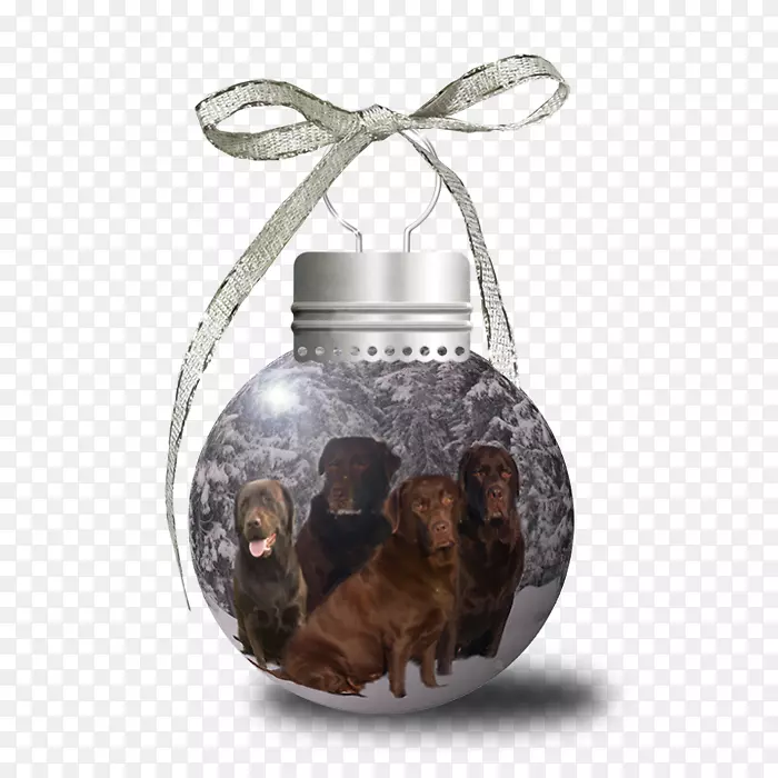 ʥ��װ��Ʒ-ʥ����-������