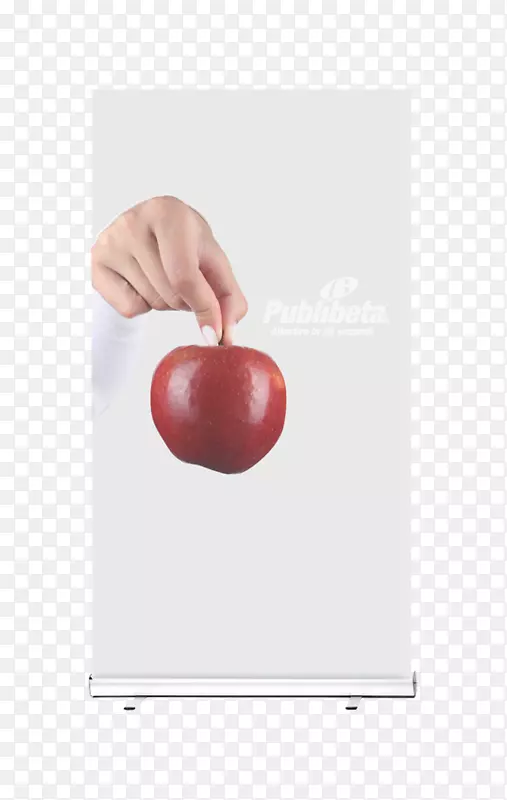 ָ��-������