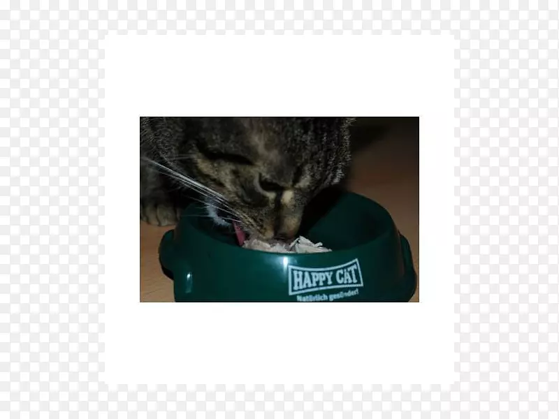 è��è����-Сè-������