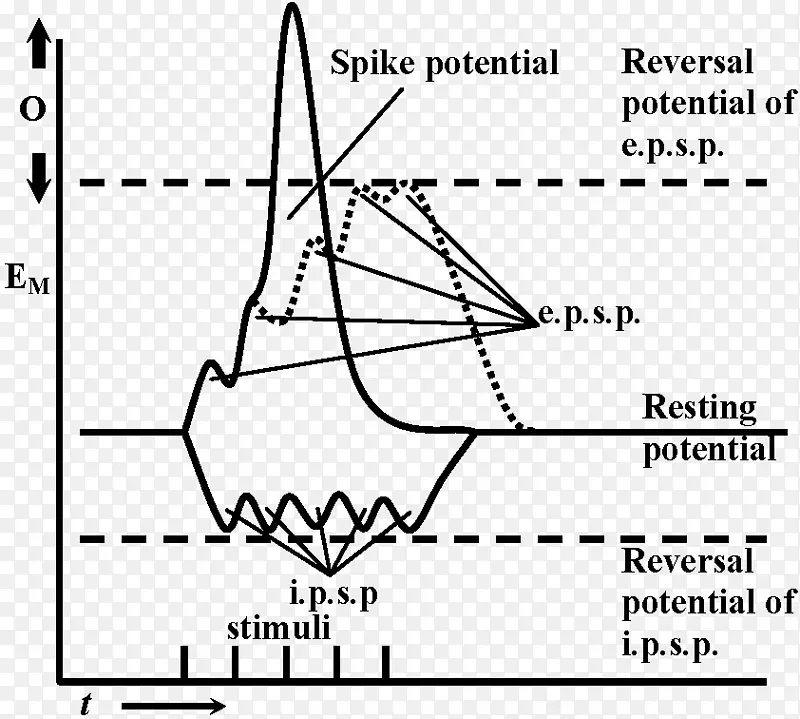 ֽ�������ΰ�������-������
