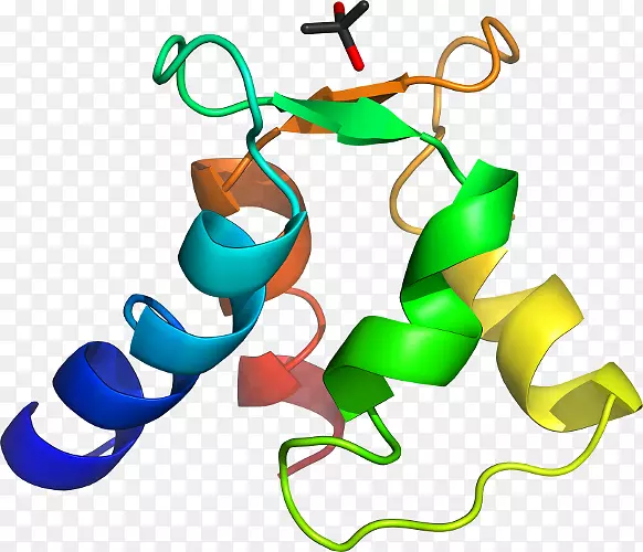 �����鱦������.�鱦-������