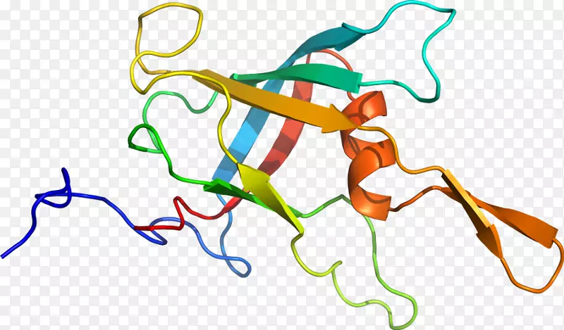 �ߵ������������-������