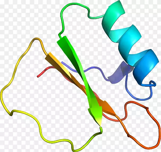 �ߵ������-��-������