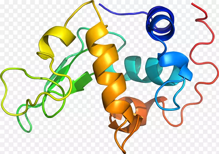 �ߵ������������-������