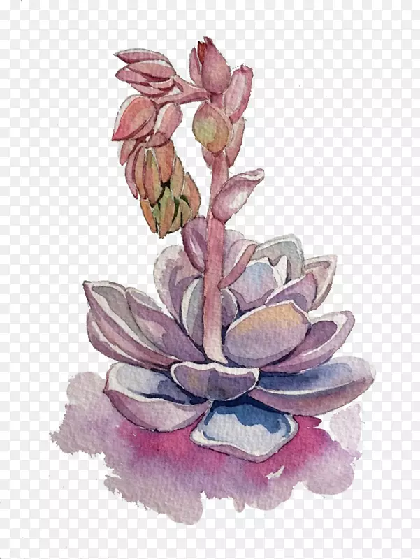 ����ֲ��������-������